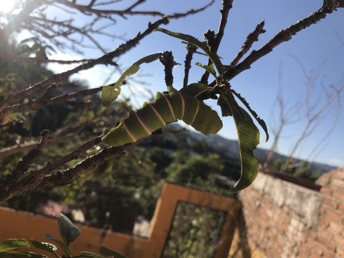 498150D4 E992 4966 A6CC 7BF92C71A17B.jpg