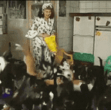 bait 2.gif