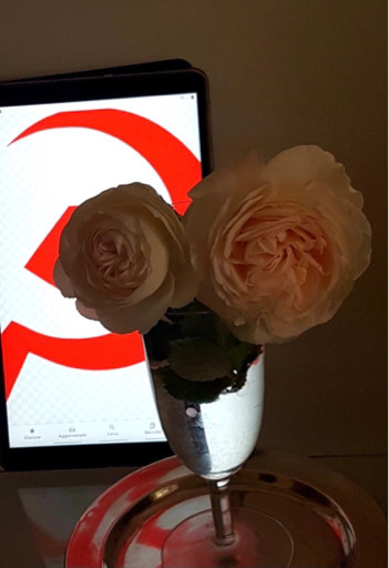 cf2ee7d9bc91.jpg