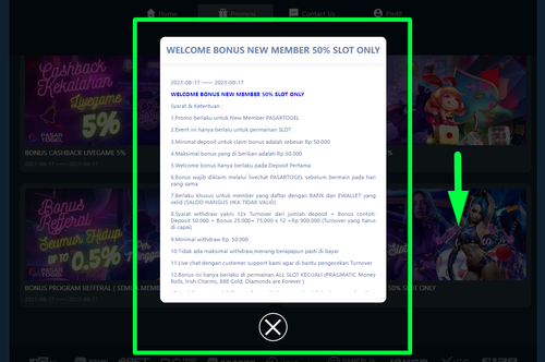 BONUS KAMI 2.png