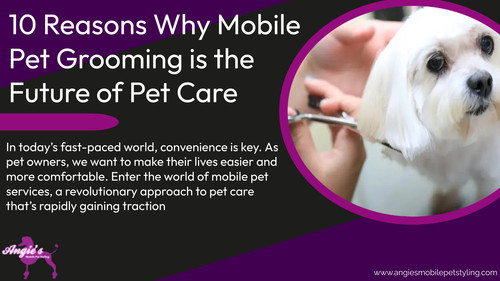 10 Reasons Why Mobile Pet Grooming is the Future of Pet Care.jpg