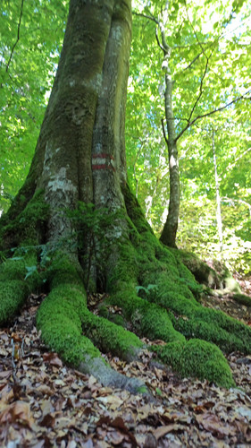 IMG 20230917 WA0014.jpg