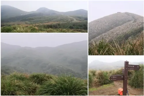 00002 擎天崗竹嵩山叉路.webp