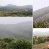 00002 擎天崗竹嵩山叉路