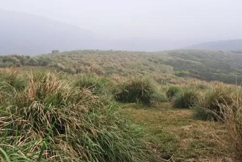 00002 1 擎天崗大草原.webp