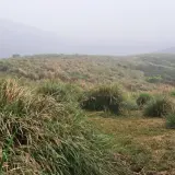 00002 1 擎天崗大草原