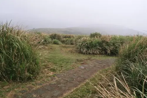 00002 2 擎天崗大草原.webp