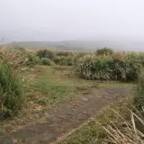 00002 2 擎天崗大草原