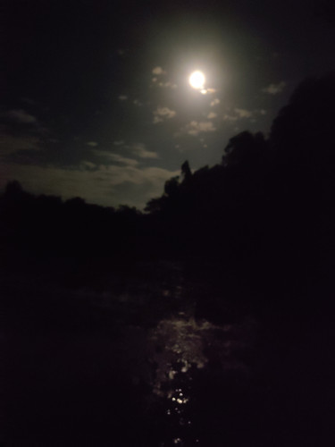 IMG 20230801 204538.jpg