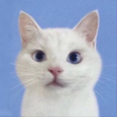 blob.jpg