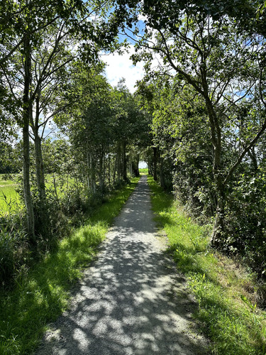 IMG 3202.jpg