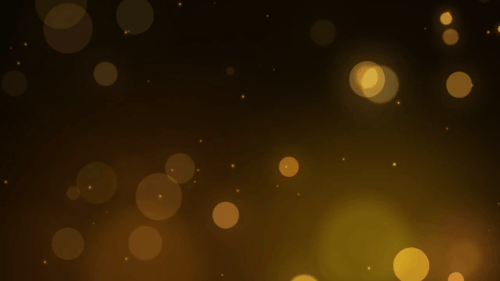 20230925 1353101.gif