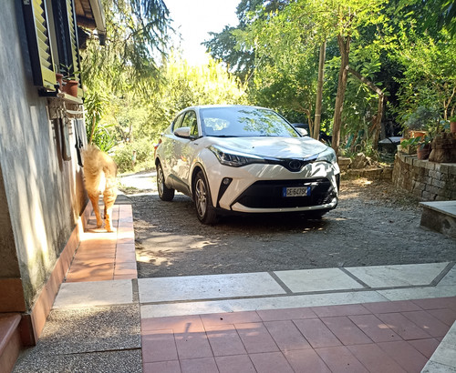 IMG 20230926 175742.jpg