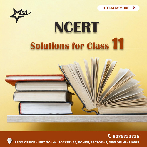 NCERT Solutions for Class 11.jpg