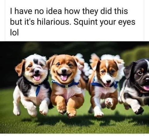 380761633 693278156192677 1496704568370187417 n.jpg? nc cat=107&ccb=1 7& nc sid=4c1e7d& nc ohc=i7vLn.jpg