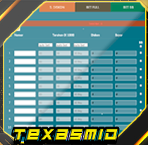 TEXASMID.png