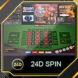 24DSPIN