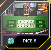 DICE6.png