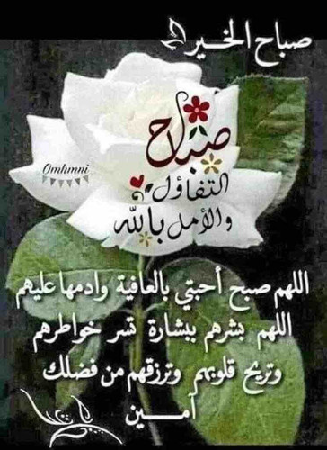 1F6E4220 D689 4183 9D89 C73BFDB0B3F2.jpg