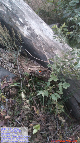 20230922 193517.jpg