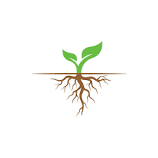 download (1).png