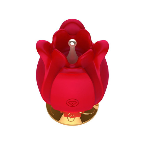 251057 1600 1600?v=1778737170&width=1600&height=1600&aspect=true.jpg