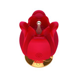 251057 1600 1600?v=1778737170&amp;width=1600&amp;height=1600&amp;aspect=true