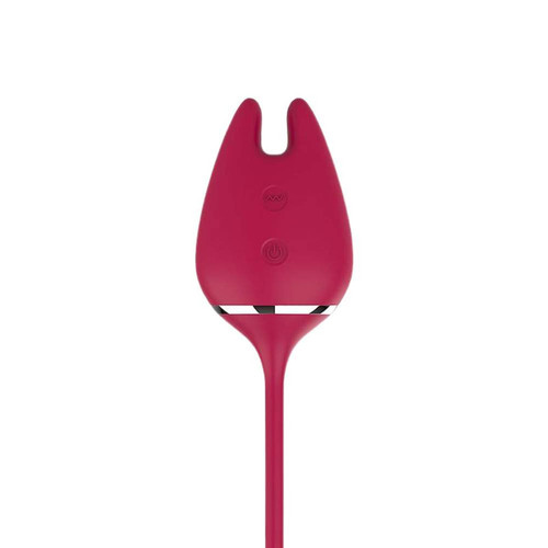 243784 1600 1600?v=1778737064&width=1600&height=1600&aspect=true.jpg