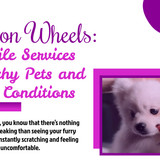 Relief on Wheels Mobile Services for Itchy Pets and Skin Conditions