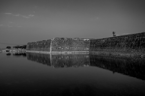 4 6 photo 2.jpg