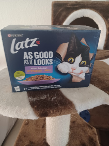 20230924 091720.jpg