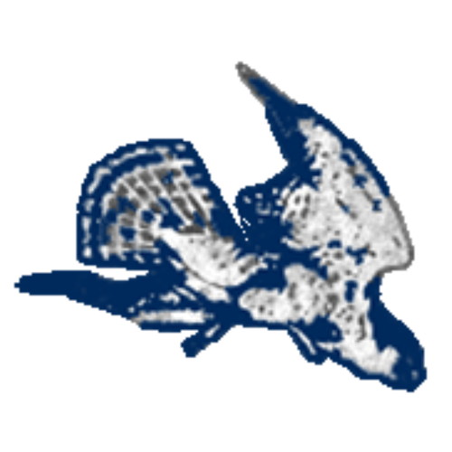 Hawks ALT 1950.png