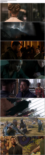 黑豹.Black.Panther.2018.BDRip.1080p.x265.10bit.DDP7.1.2Audio DGB.mkv.jpg