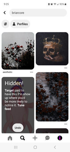 Screenshot 20230924 092541 Pinterest.jpg