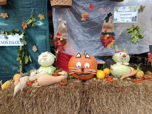 IMG 20230924 132501 000.jpg