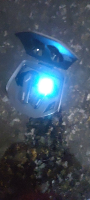 IMG 2201.jpg