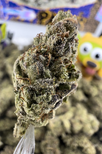 F36E1315 FC77 411A 86EE 19C82D9CB1C4.jpg