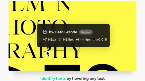 Fonts Ninja.webp