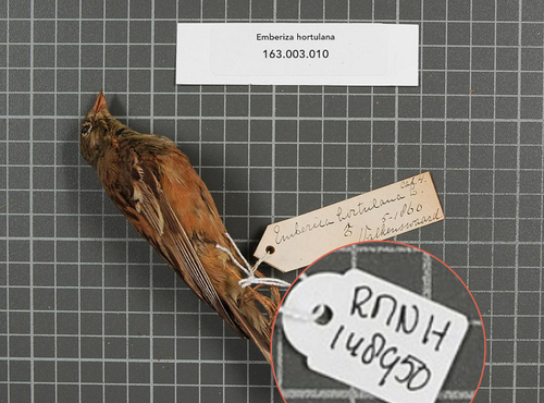 rwzRGq2po5.png