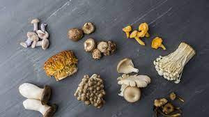 Gourmet Mushrooms.jpg