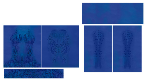 pullover hoodie template 3PH copy.jpg