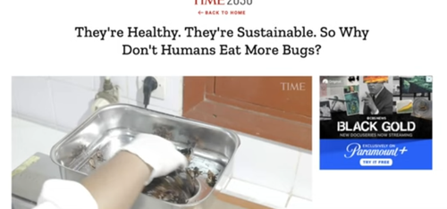 A BUGS BBC.png
