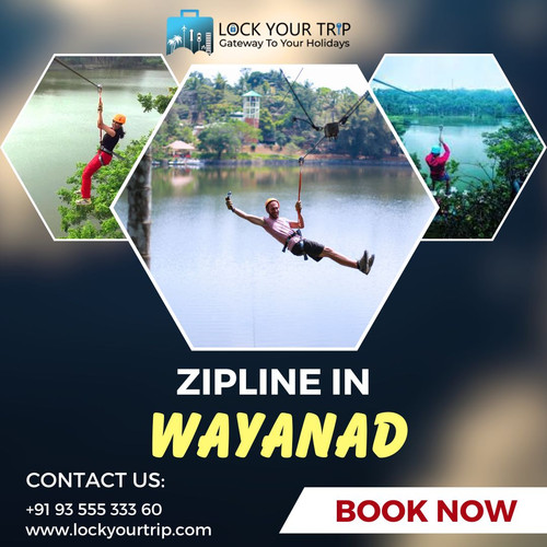 Zipline in Wayanad.jpg