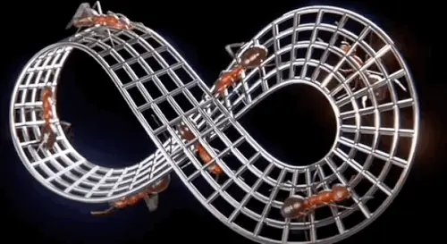 mobius strip ants 1.webp