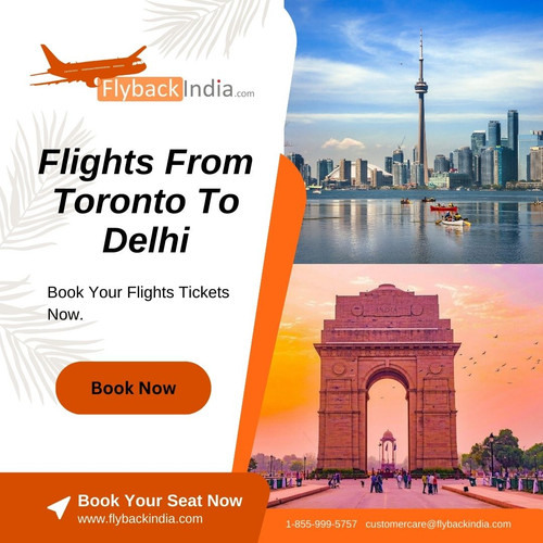 Flights From Toronto To Delhi.jpg