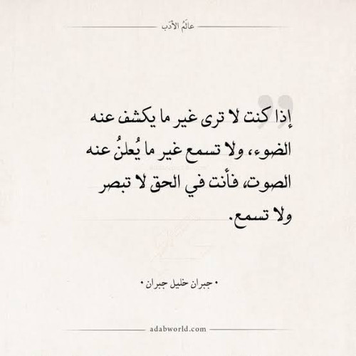 IMG 8725.jpg