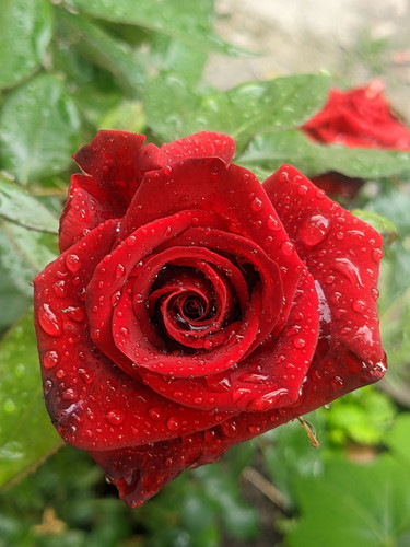 0 02 05 d51b72bad12e2c17bd7a0b7efc765da3050b10fcfb7604d076f2227d6e86873d 9fc692728c053c15.jpg