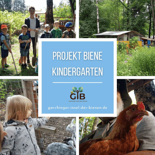 Projekt biene kindergarten.gif