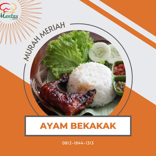 WhatsApp Image 2023-09-26 at 08.07.57 (1).jpg