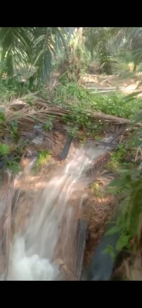 WhatsApp Image 2023 09 26 at 10.51.50 AM.jpg